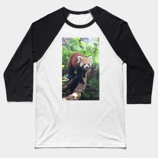 Nepalese Red Panda Baseball T-Shirt